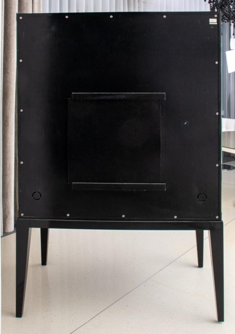 Modern Mirrored Ebonized Wood Two Door Cabinet For Sale 10