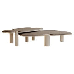 The Two-Piece Mone Coffee Table Set with Travertine and Wood Options by JNK