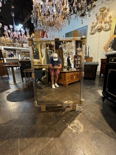 Modern Murano Twist Glass and Brass Mirror