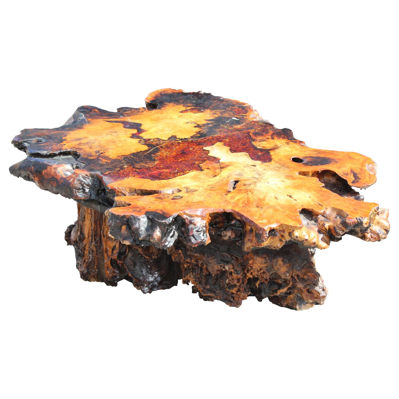 Mid-Century Modern Modern Nakashima Style Burl Root Coffee Table with Inlayed Amber Glass Detailing