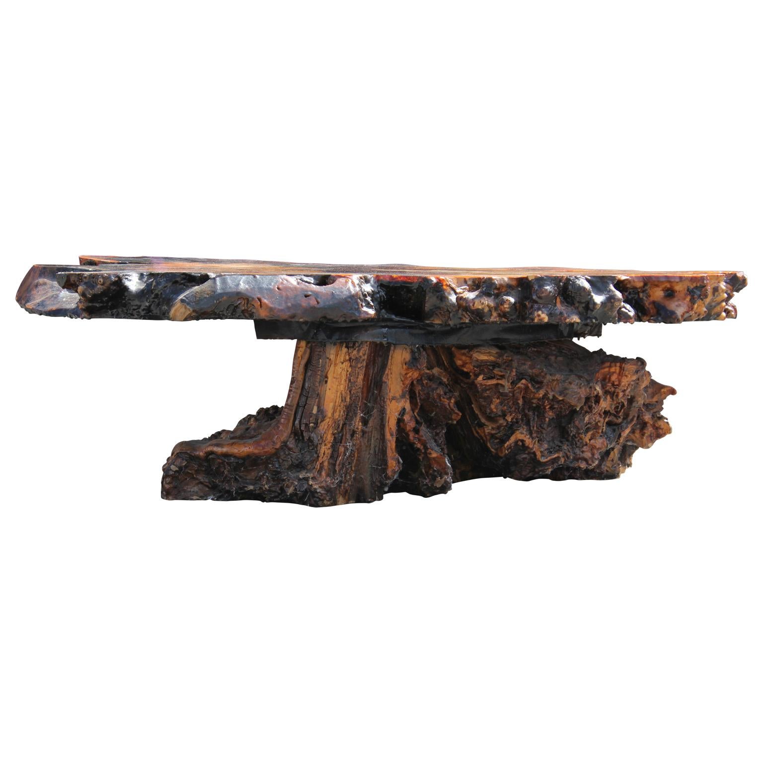 Mid-20th Century Modern Nakashima Style Burl Root Coffee Table with Inlayed Amber Glass Detailing