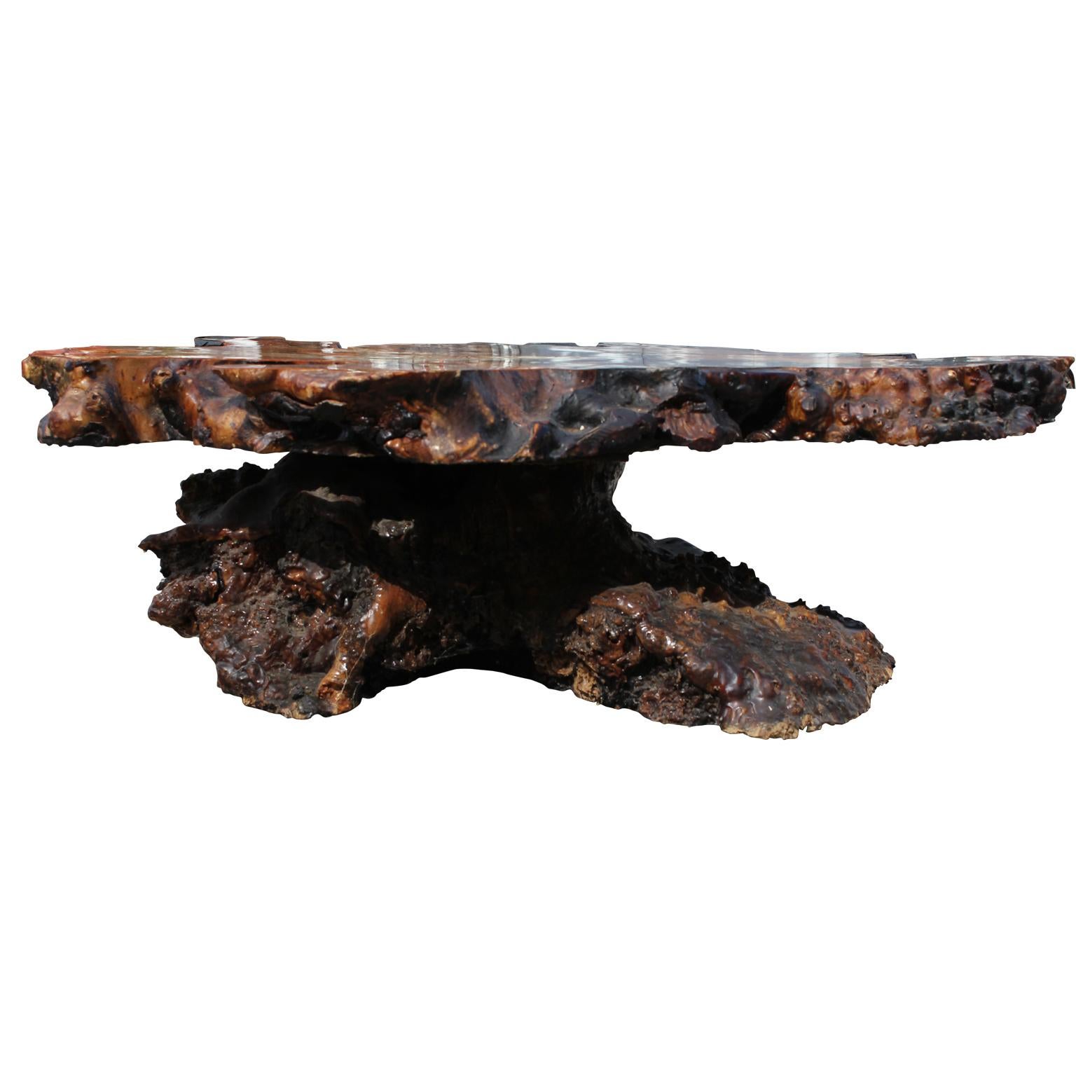 Modern Nakashima Style Burl Root Coffee Table with Inlayed Amber Glass Detailing 1