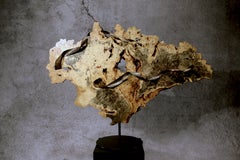 Modern Organic 360-Degree Pivoting Sculpture with Spalted Buckeye Burl - Ocean