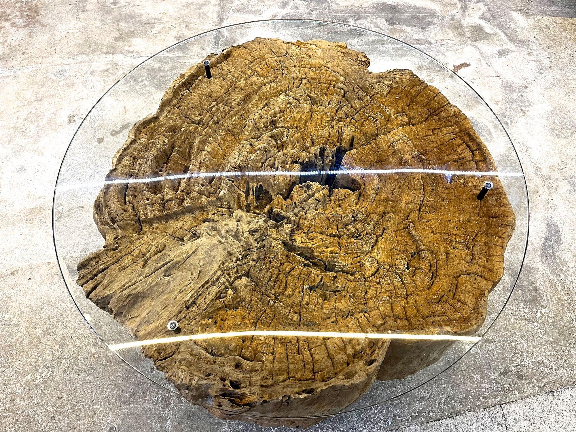 Extraordinary round driftwood sofa table or coffee table with safety glass plate. This one of a kind modern organic side table was artfully crafted by the artist using a massive round disc of a very old piece of teak driftwood. Placed on a round