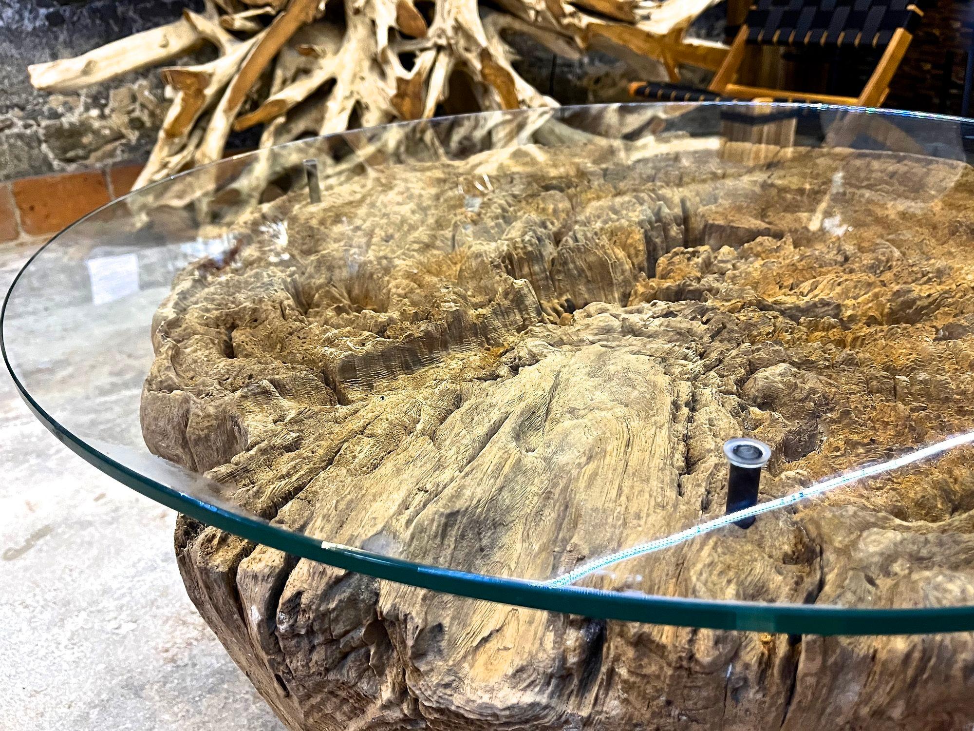 Mesa de centro/sofá moderna de madera de deriva orgánica con tapa de cristal y base de acero negro en venta 1