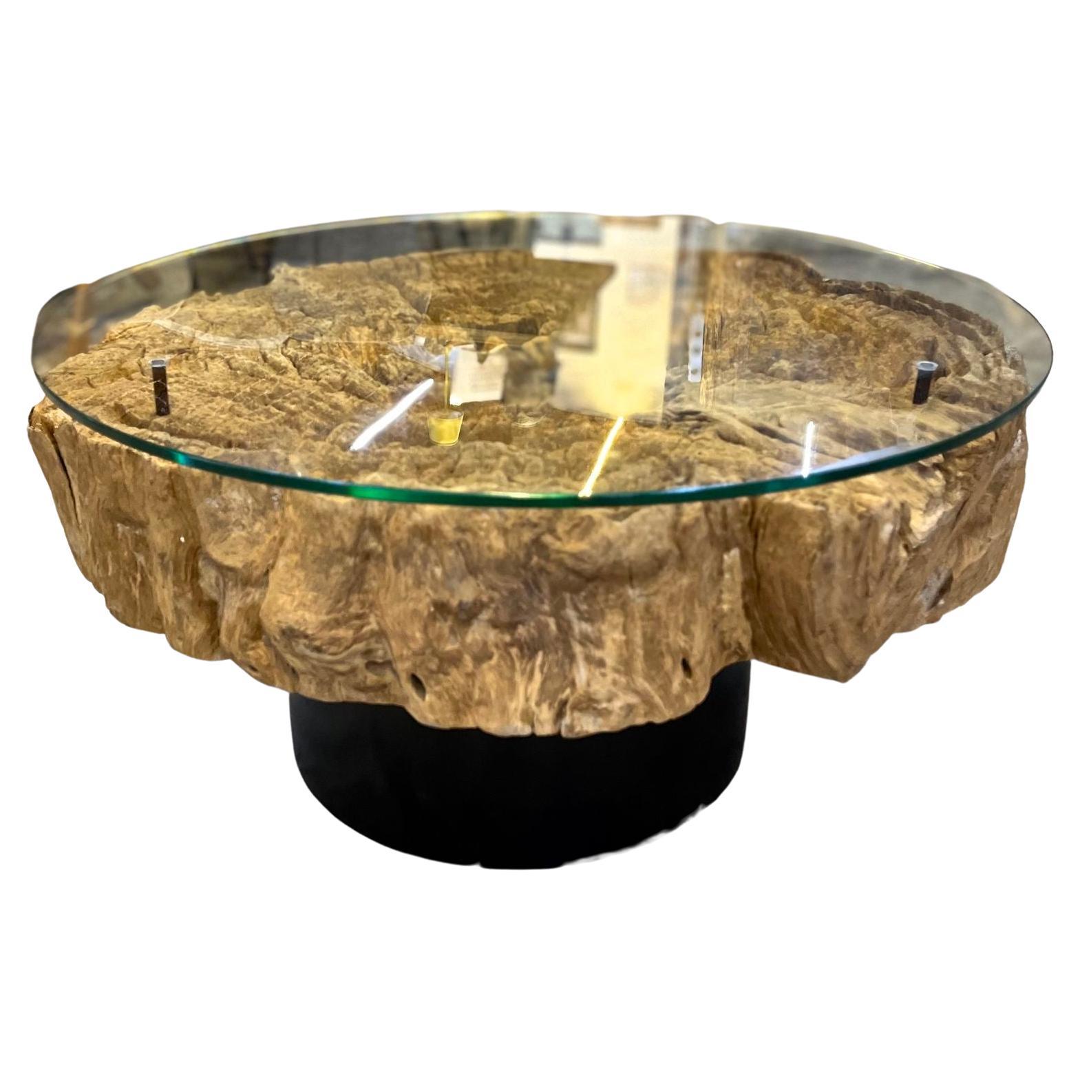Table basse moderne en bois flotté organique avec plateau en verre sur base en acier noir
