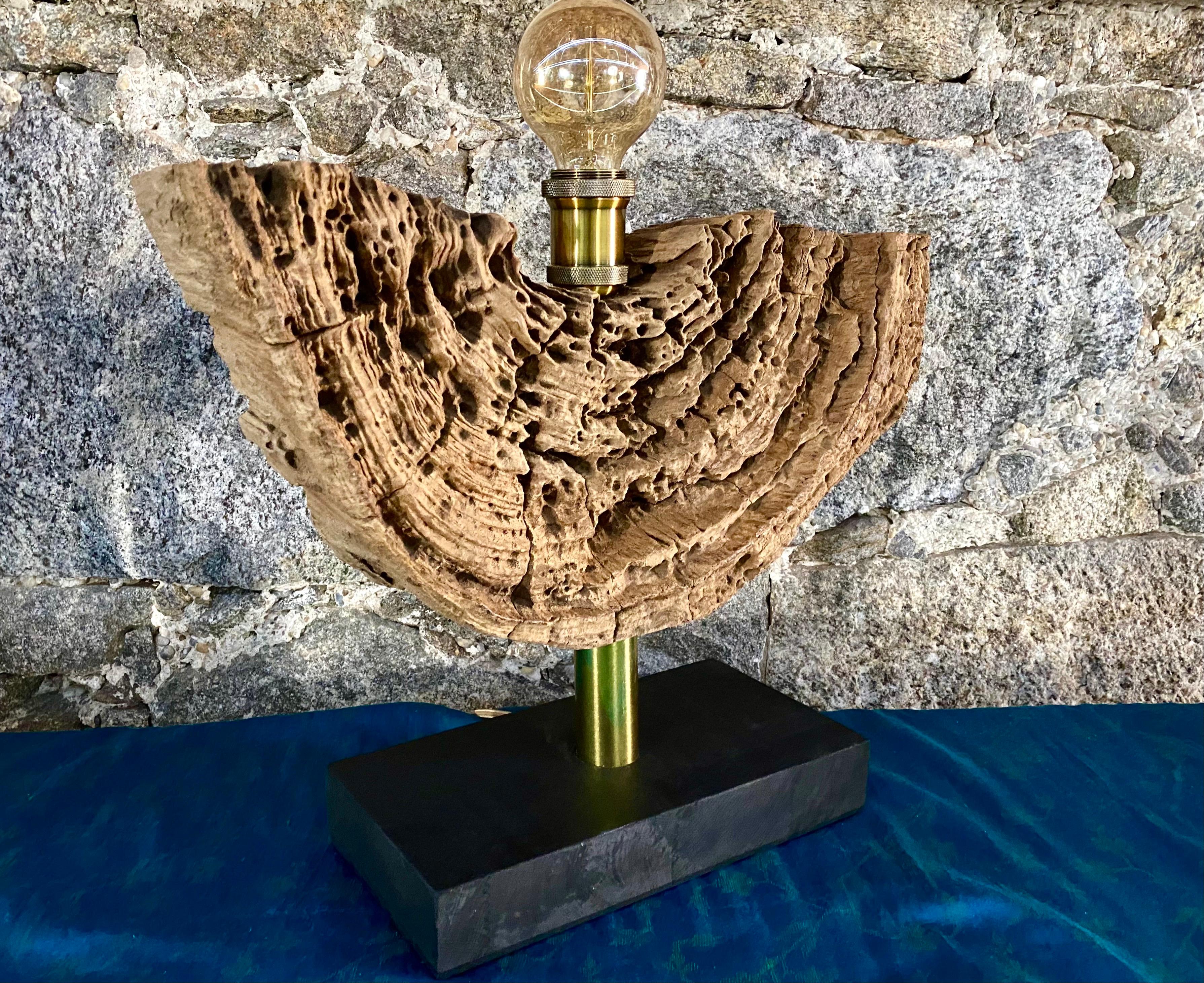 Out of the ordinary modern organic driftwood table lamp with LED lightbulb ball. This contemporary table lamp was artfully designed by the artist and impresses with its remarkable organic look - a matchless combination of beautiful shaped old