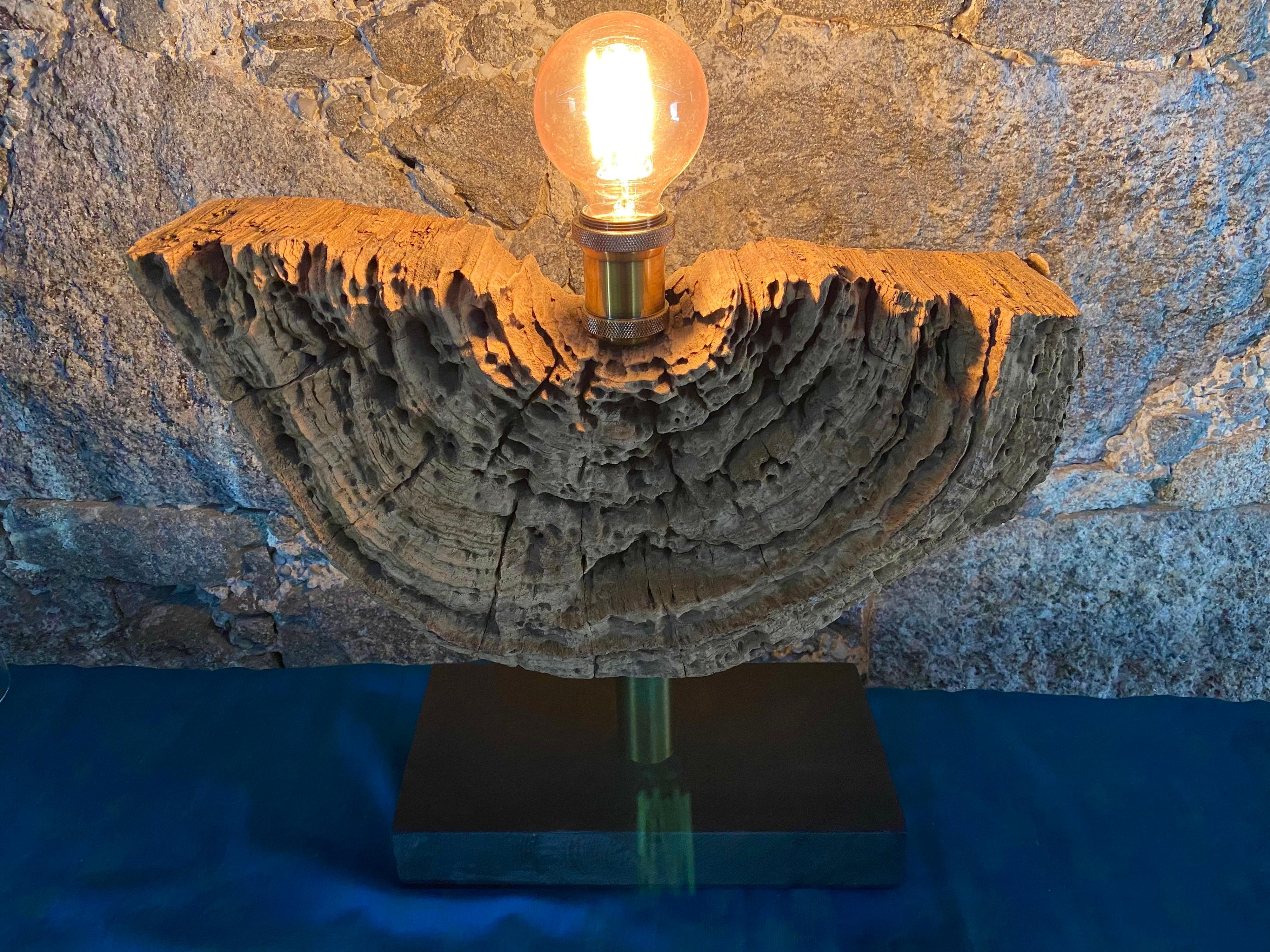 Modern Organic Driftwood Table Lamp with LED Lightbulb Ball, 2021 For Sale 3