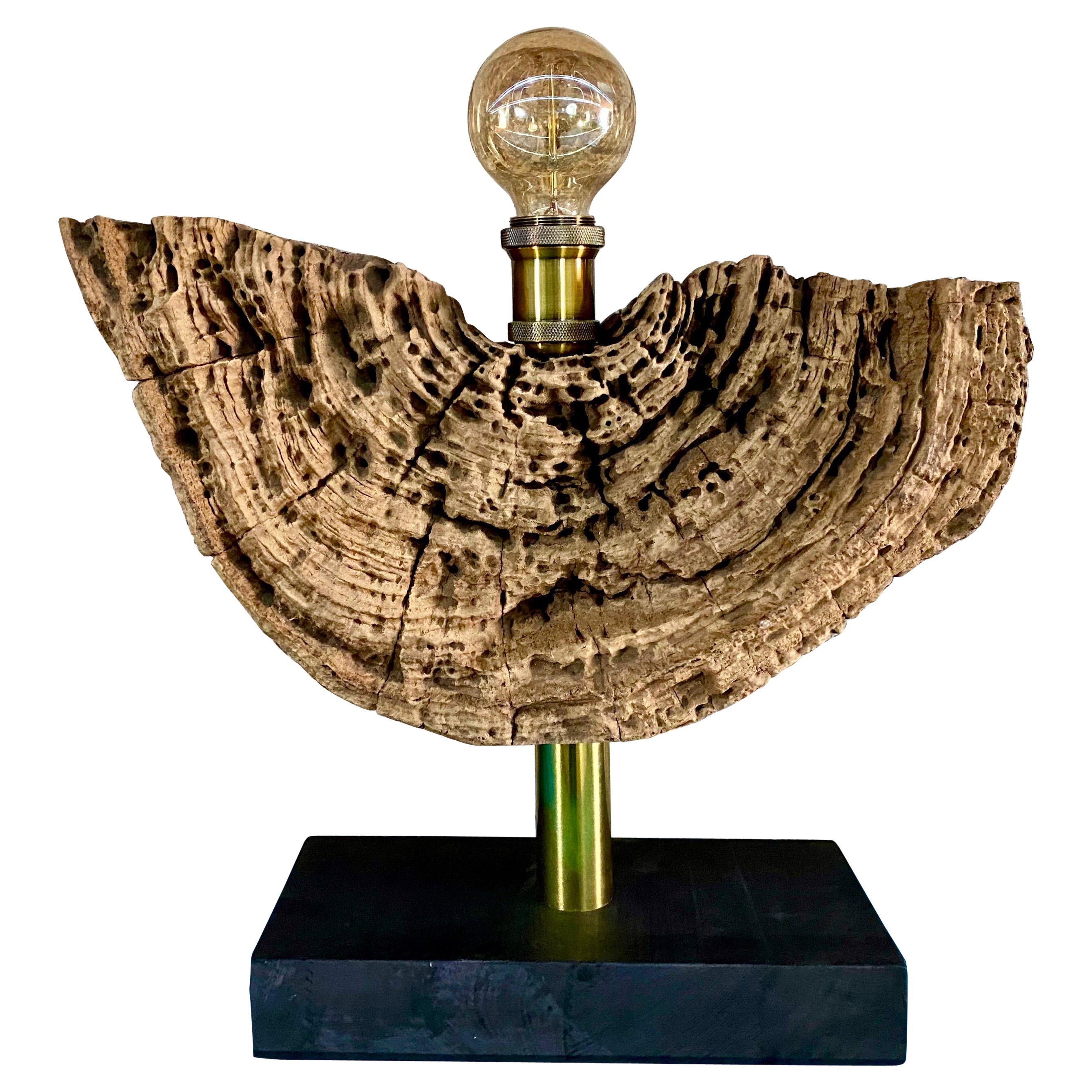 Lampe de bureau moderne en bois flotté organique avec boule d'ampoule LED, 2021 en vente