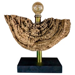 Modern Organic Driftwood Table Lamp with LED Lightbulb Ball, 2021