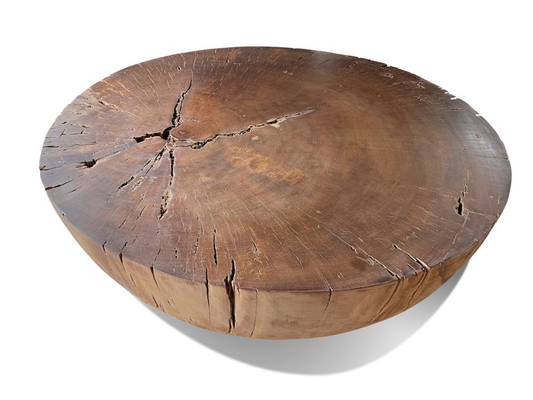 Hand-Carved Modern Organic Drum Coffee Table made from New Zealand Ancient Swamp Kauri Wood For Sale