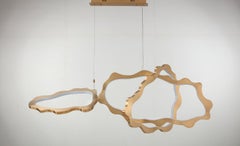 Modern Organic metal rings with integrated LED diffused natural light chandelier