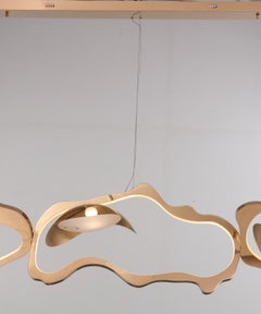 Modern Organic metal rings with integrated LED diffused natural light chandelier