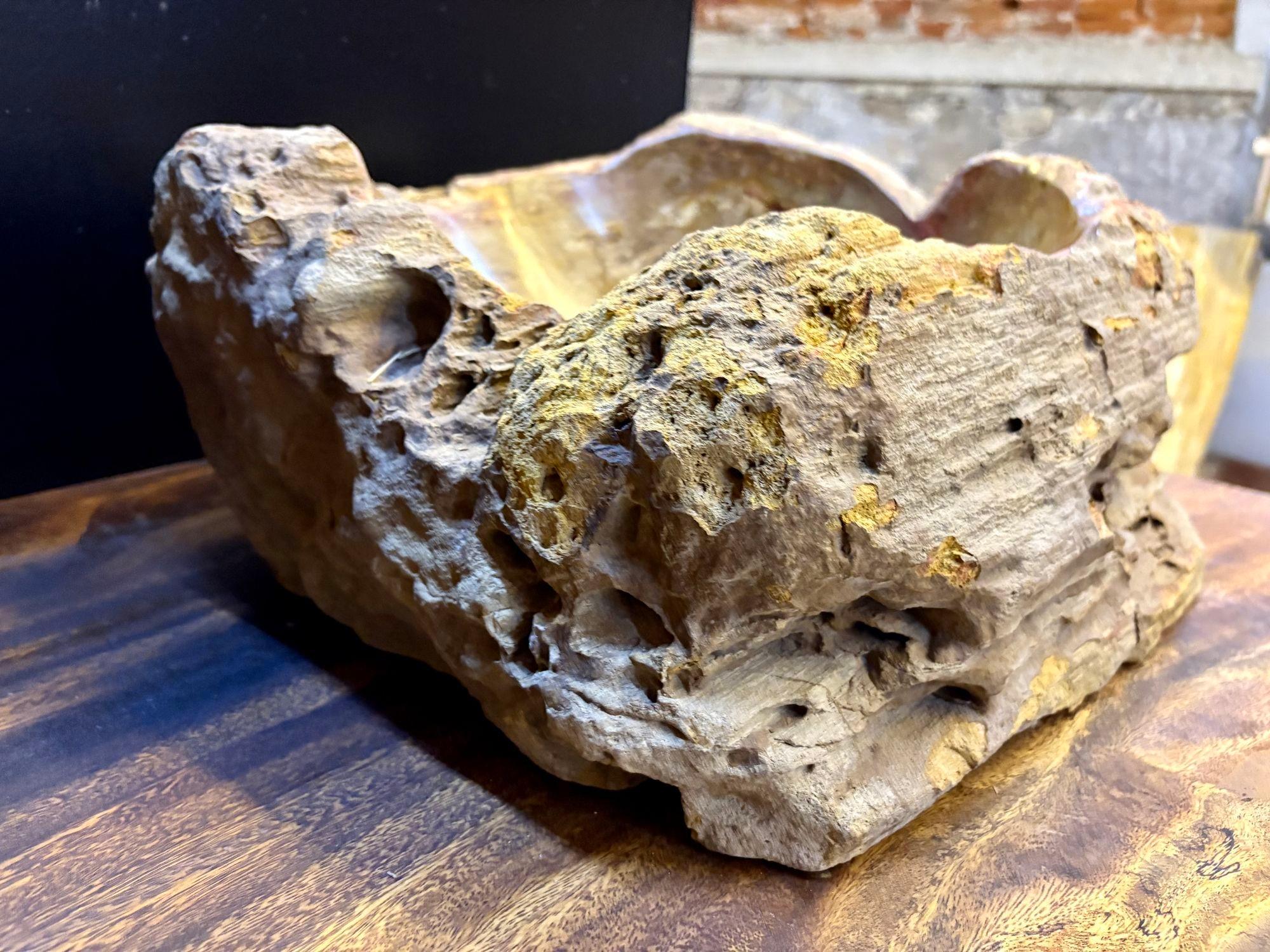 Lucidato Lavandino moderno organico in legno pietrificato, tonalità grigio/marrone e giallo, IDN 2024 in vendita