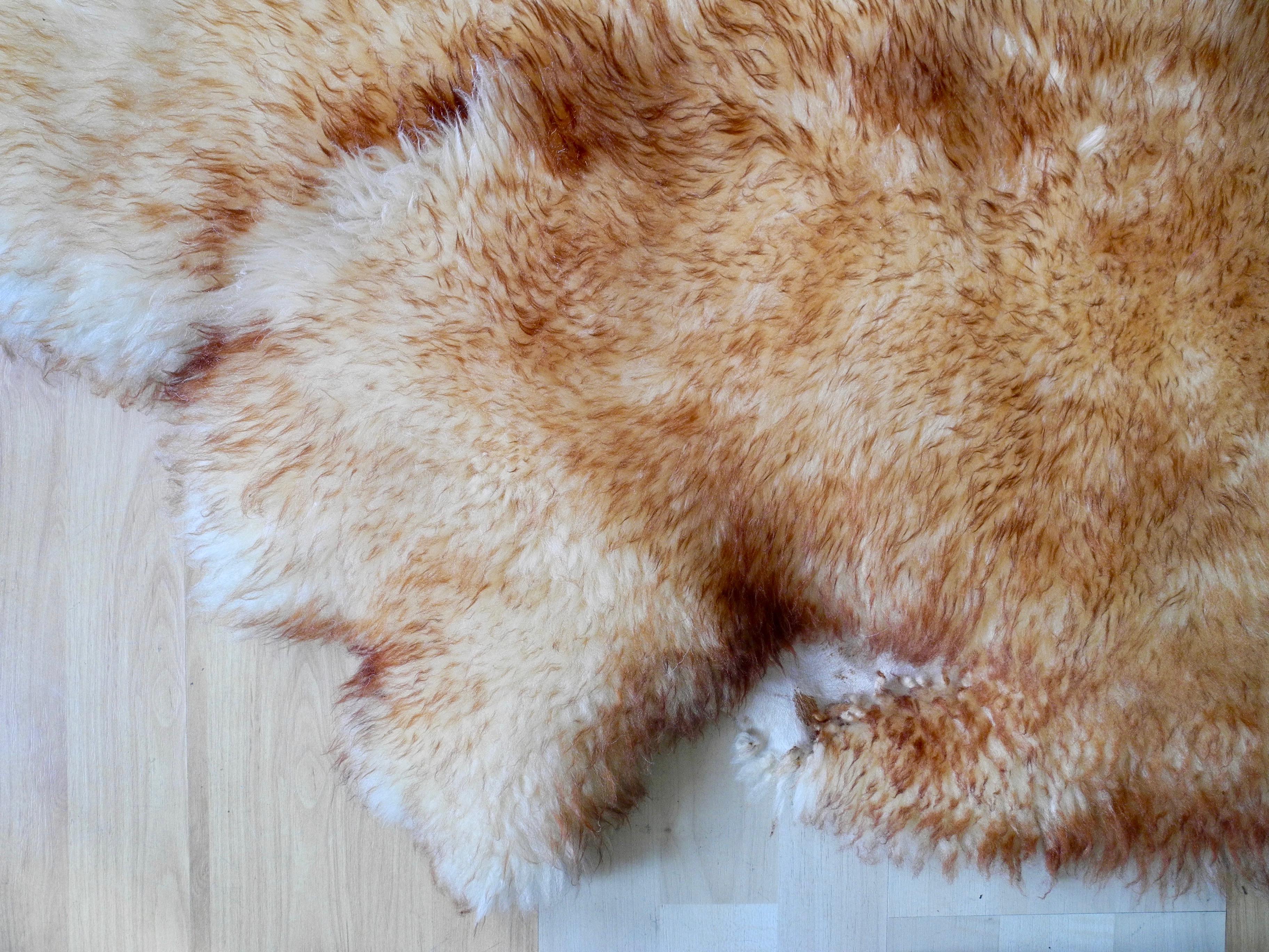 Contemporary Modern Organic Rustic Large Sheepskin Rug or Furniture Cover For Sale
