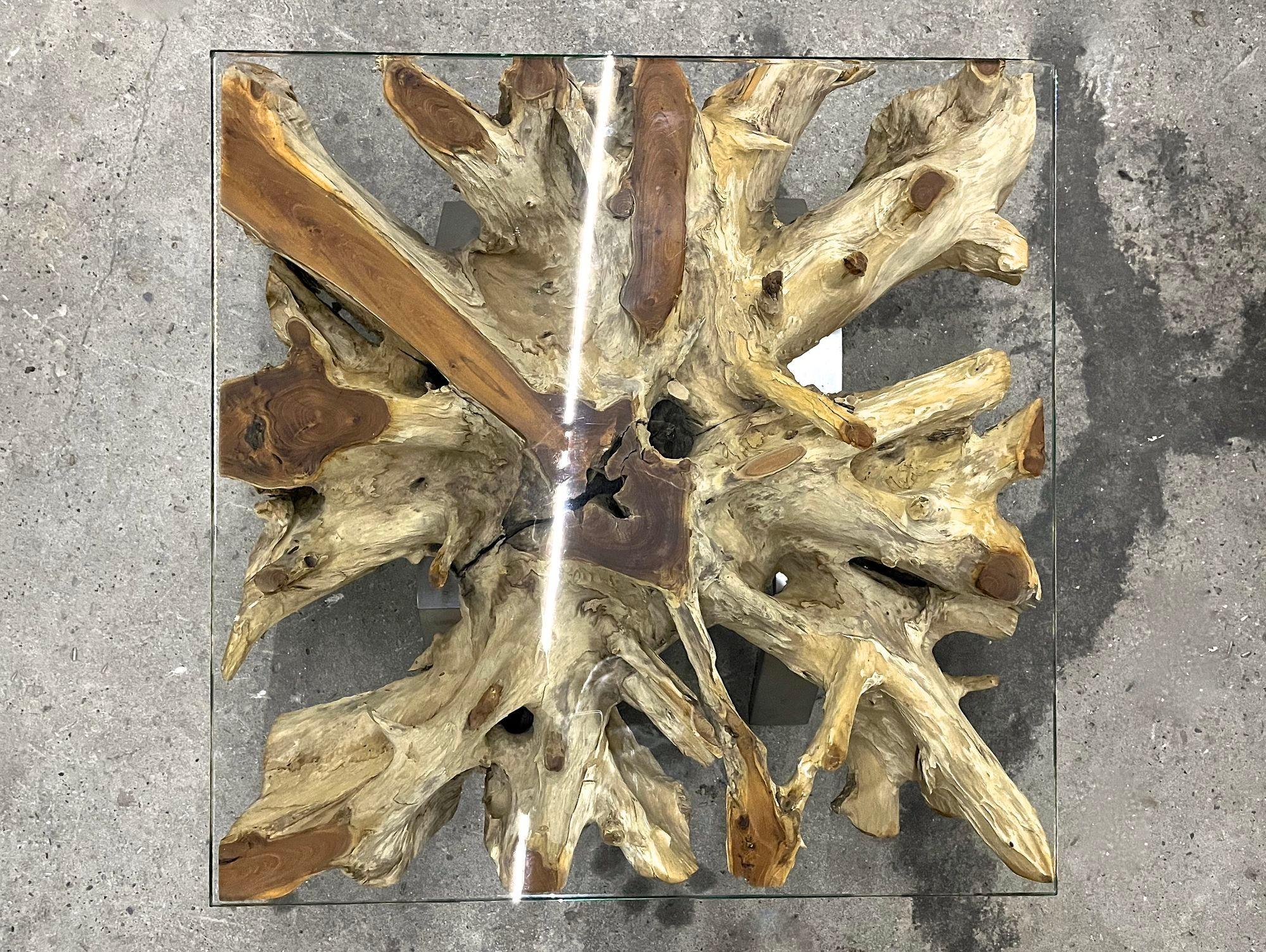 Extraordinary modern teak root coffee/ sofa table with safety glass plate on stainless steel feet. Impressing with an amazing organic design, this striking design sofa table was artfully cut out of a massive teak wood root. The cutted surfaces show