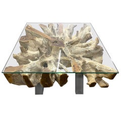 Modern Organic Teak Root Coffee/ Sofa Table with Glass Plate, IDN 2022