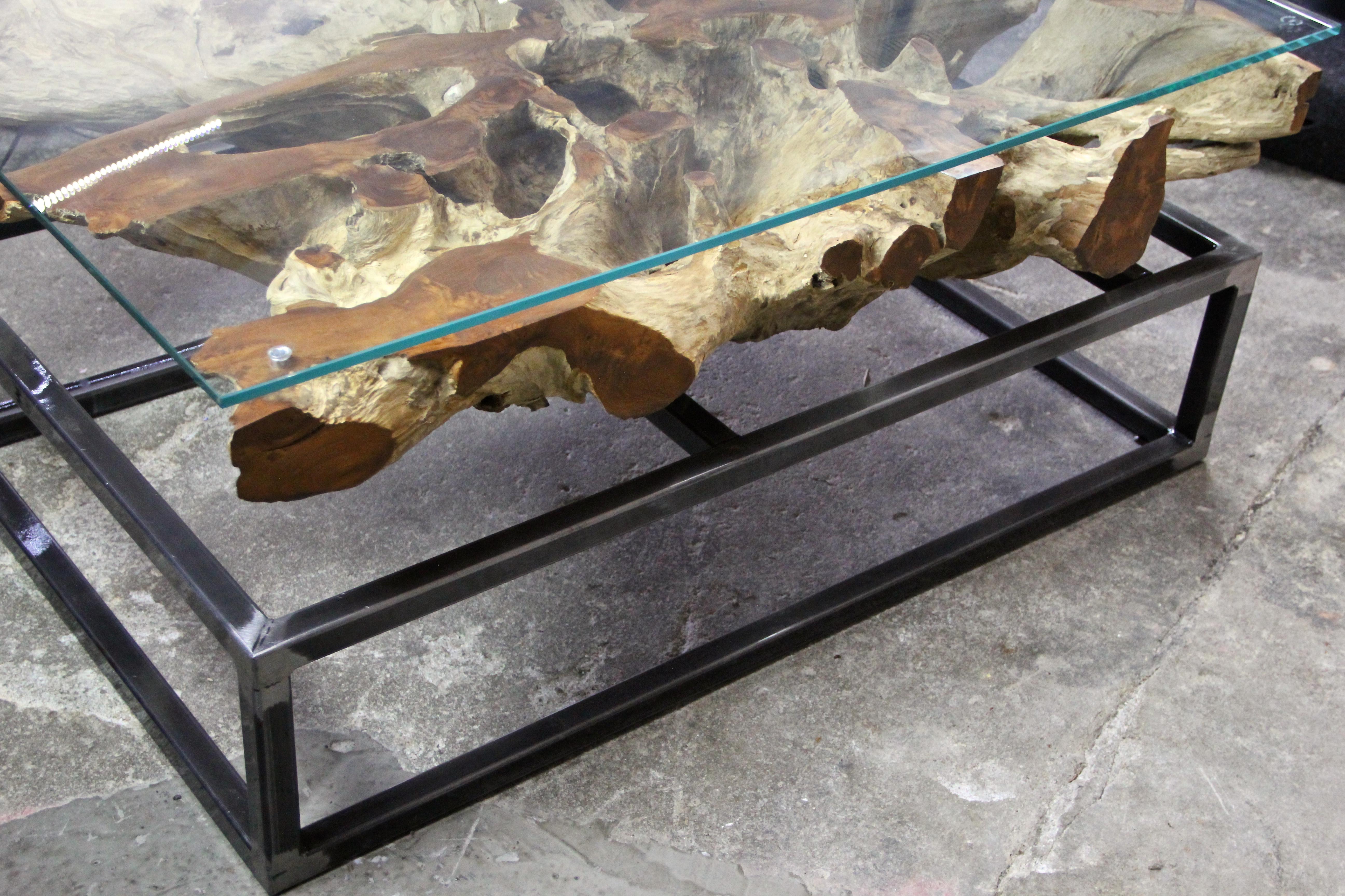 Modern Organic Teak Root Coffee Table on Industrial Steel Base with Glass Plate 7