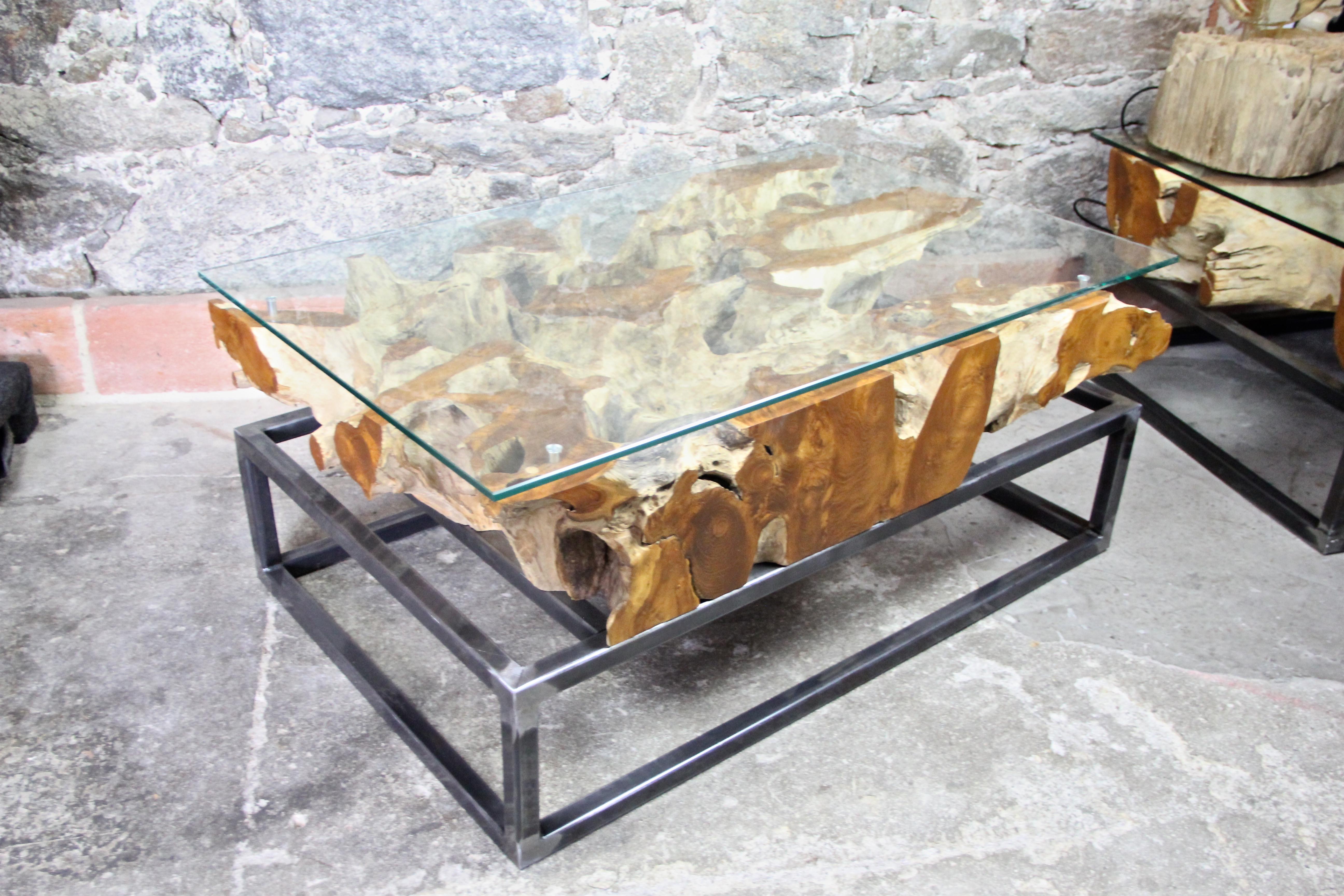 Modern Organic Teak Root Coffee Table on Industrial Steel Base with Glass Plate 2