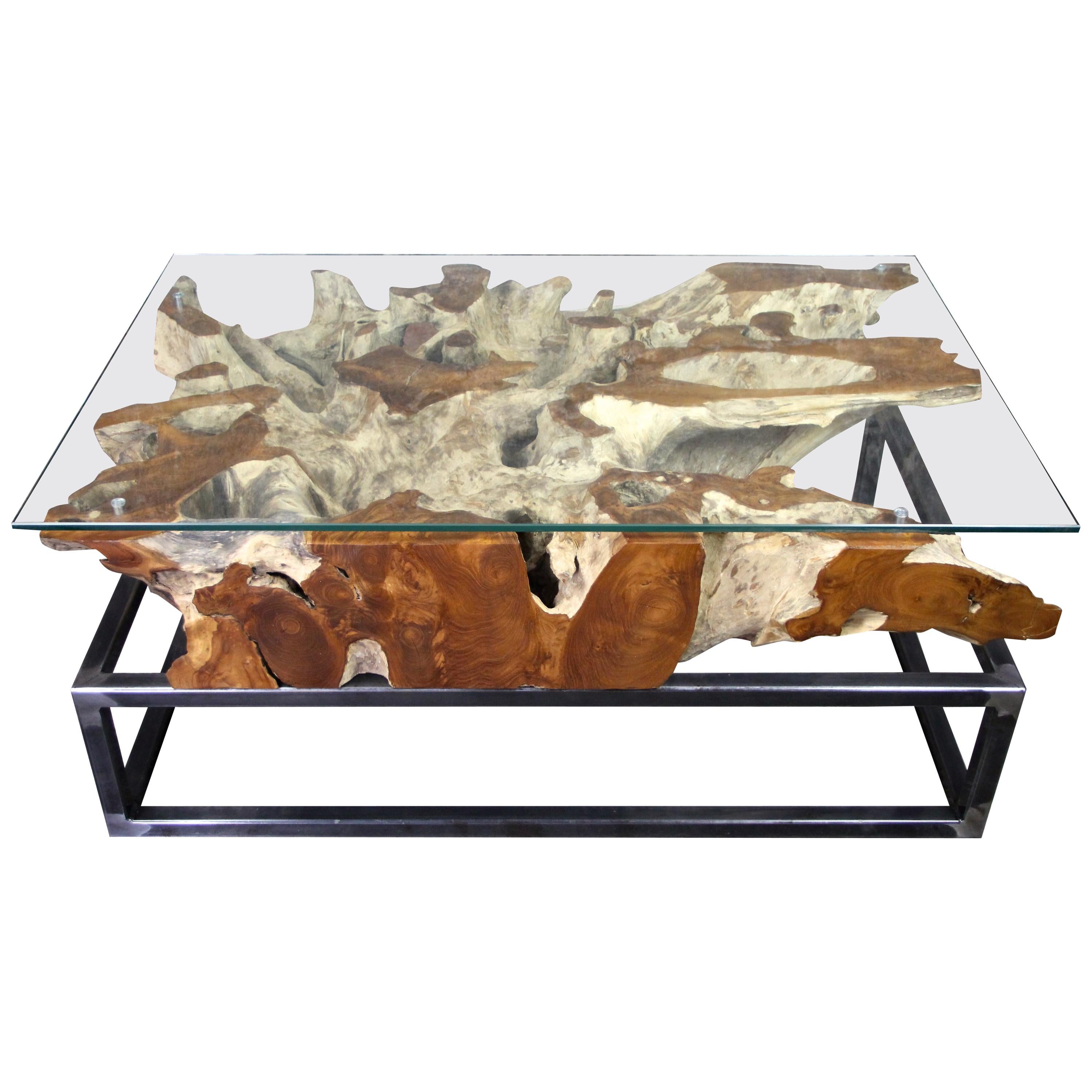 Modern Organic Teak Root Coffee Table on Industrial Steel Base with Glass Plate