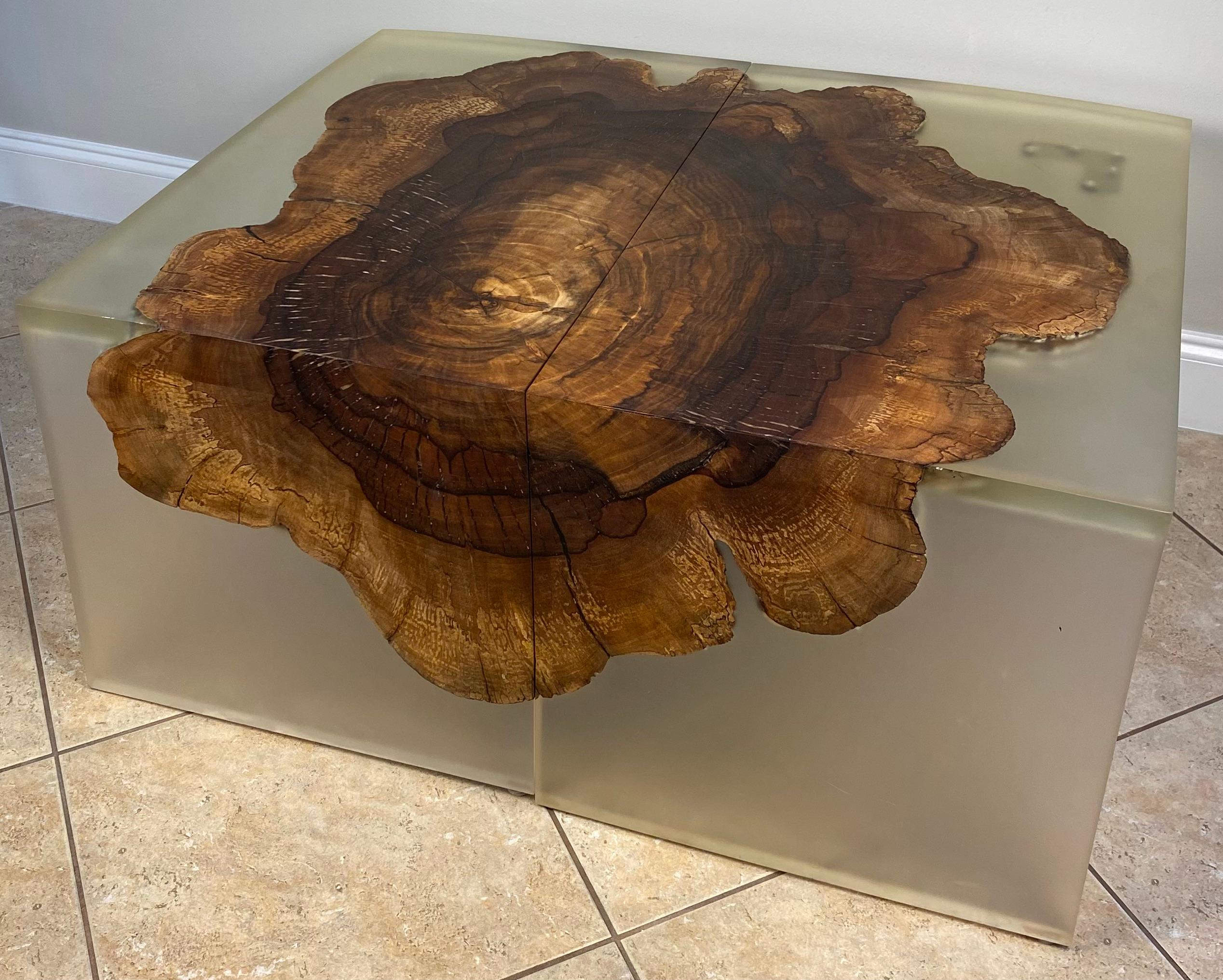 Metal Wabi Sabi Style Wood and Resin Cantilevered Coffee Table or A Pair of End Tables