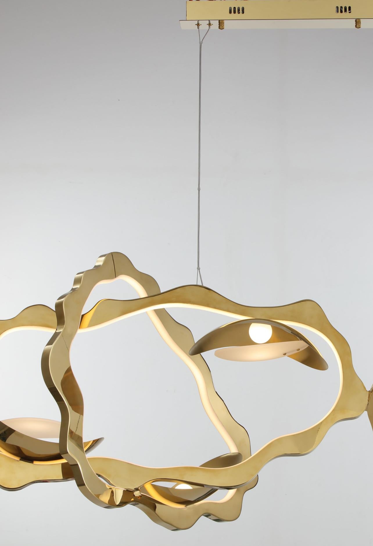 Organico moderno Moderno Orgranic 2 anelli in acciaio ottonato che uniscono 1 anello più piccolo Lampadario a LED in vendita