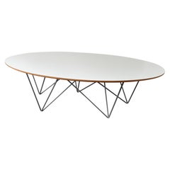 Modern oval coffee table