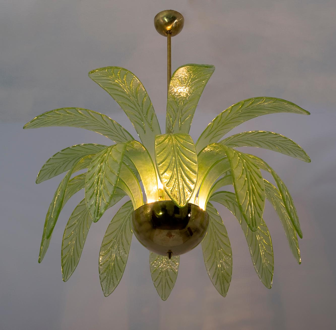 Mouth blown Murano glass chandelier, 21 green Murano glass leaves, brass structure, five bulbs.
The chandelier reproduces the crown of a palm tree.
We supply reducers for USA E12 bulbs

