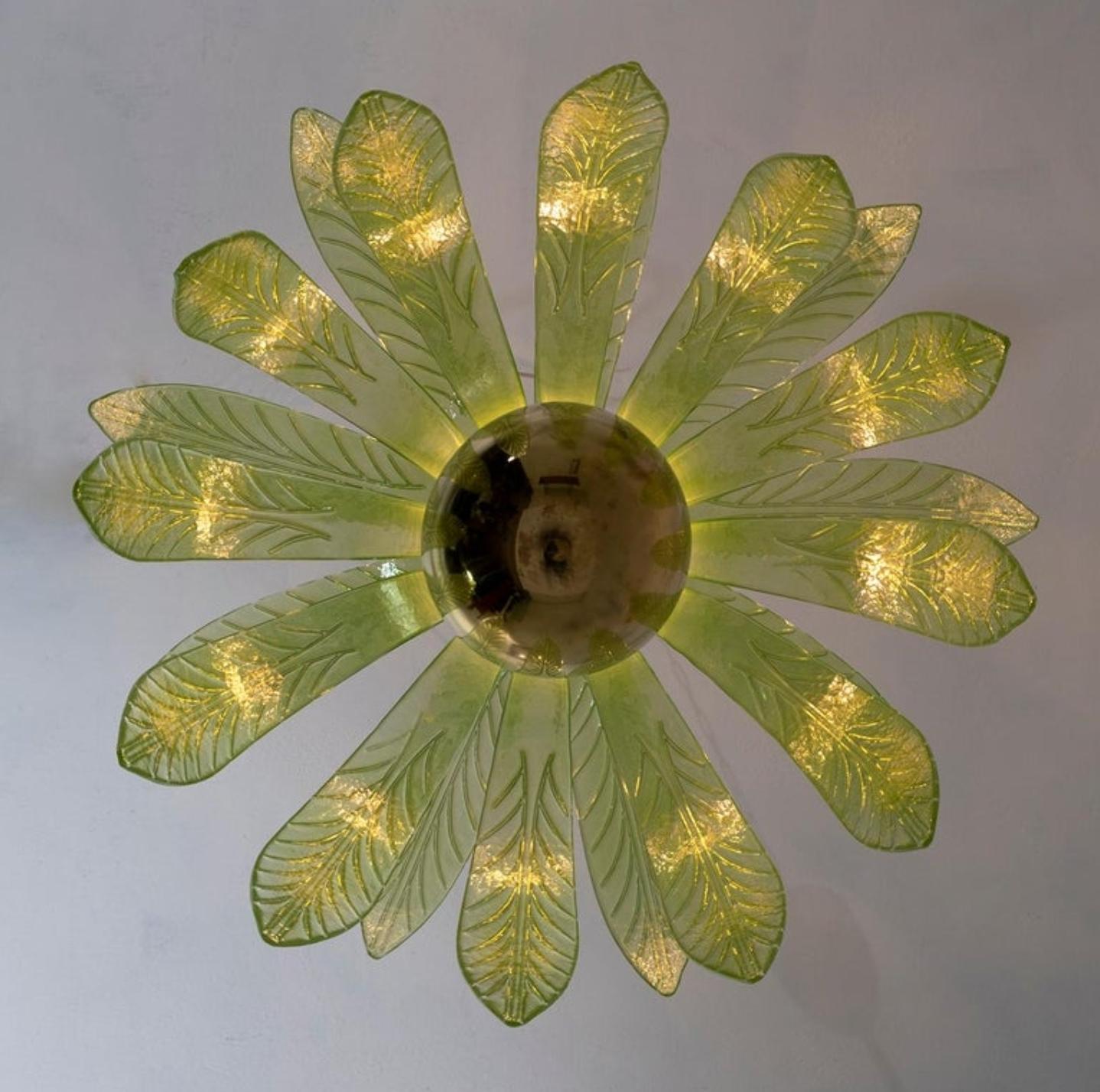 Mouth blown murano glass chandelier, 21 green murano glass leaves, brass structure, five bulbs.
The chandelier reproduces the crown of a palm tree.
We supply reducers for USA E12 bulbs

