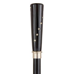 Modern Paste Gem Inset Wooden Cane
