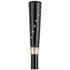 Modernity Paste Gem Inset Wooden Cane (canne en bois avec pierres précieuses)
