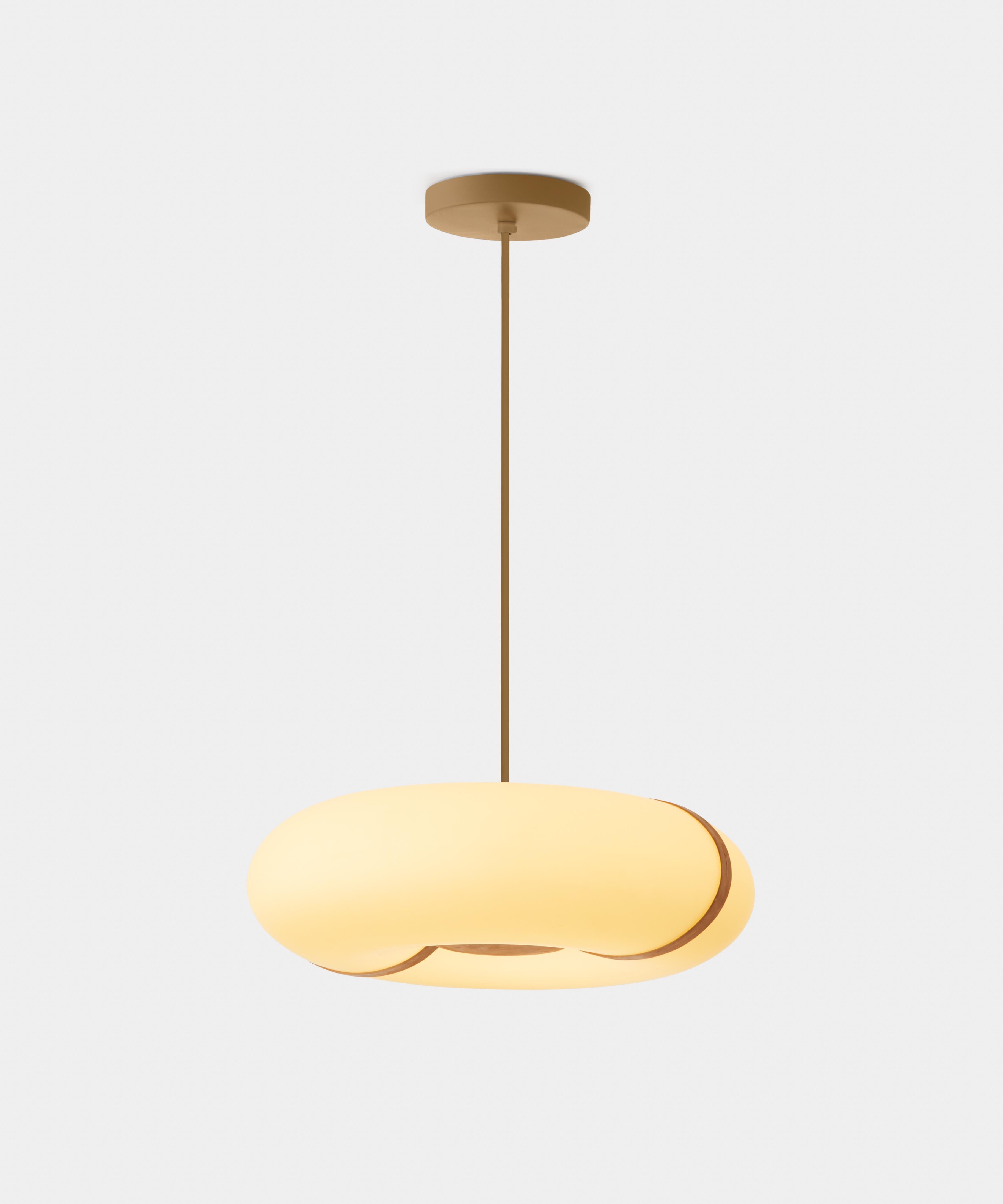 Organico moderno Lampada a sospensione moderna 
