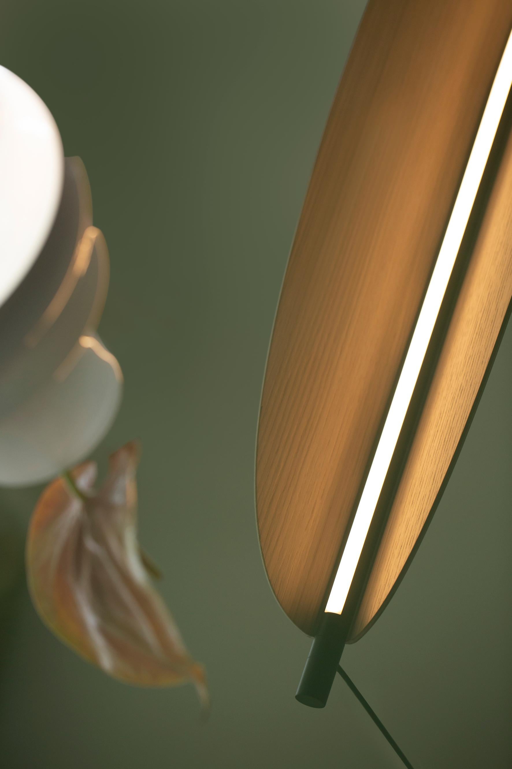 Metallo Lampada a sospensione moderna 'Thula 562.23' di Federica Biasi x Tooy, Black & Light Oak in vendita