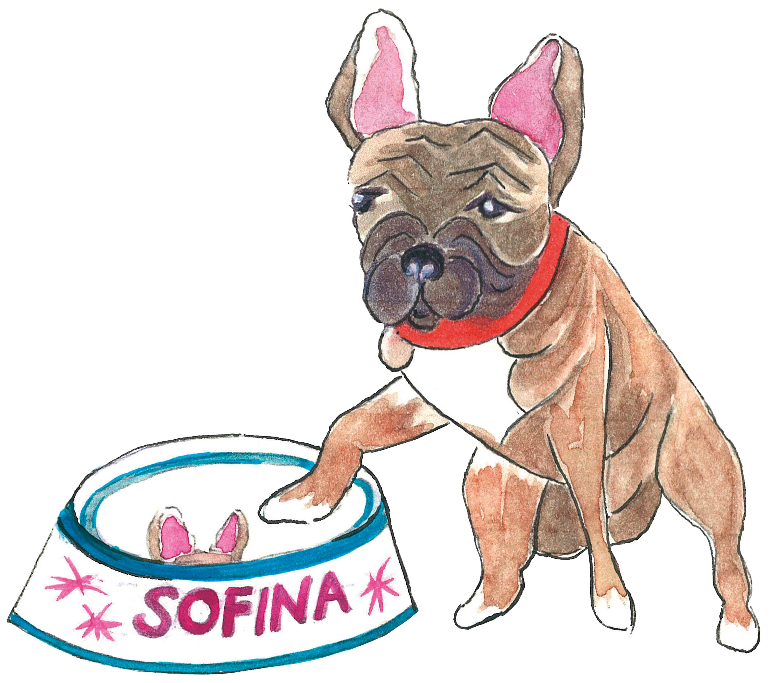 Moderne moderne, personalisierte, handbemalte Hundeschale aus Porzellan Sofina Boutique Kitzbuehel (21. Jahrhundert und zeitgenössisch) im Angebot