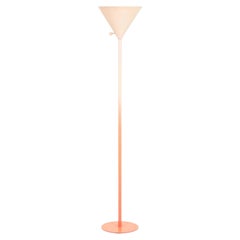 Modern Pink Gradient Floor Lamp