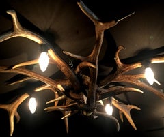 Modern Plafoniere Made of Red Stag Antlers