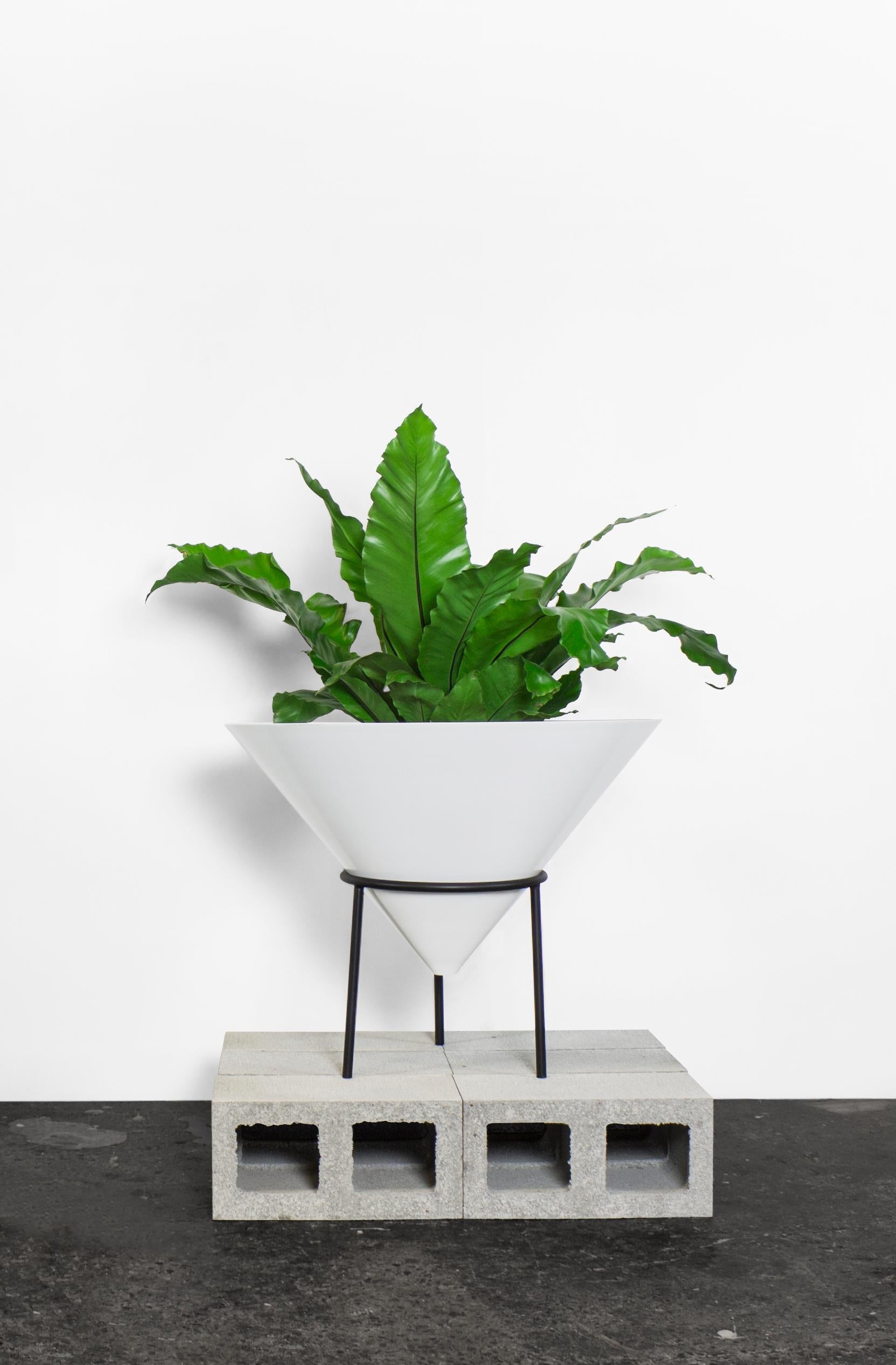 Midcentury design reimagined.

Taking inspiration from his grandmothers french plant stands, designer Joe Chester has lovingly re-mixed the design to bring it into a modern context that still references its roots. And so Nancy was born.

Worked