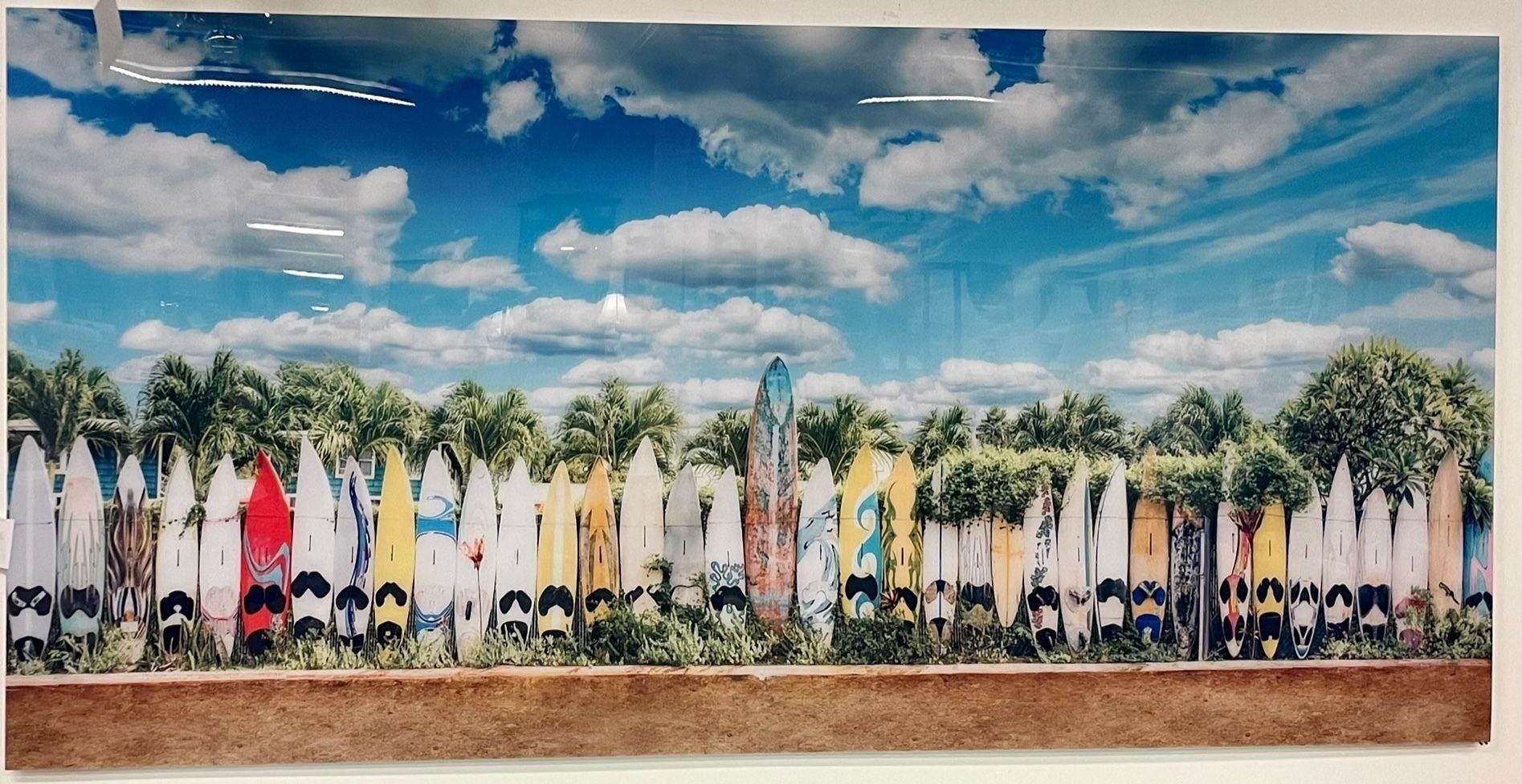 Modern Plexiglass Paddle Board Photo, Tropical Art, Decorative
 
A large and impressive work having been laid down on plexiglass with wooden frame to hand. 
 
ZgXX.