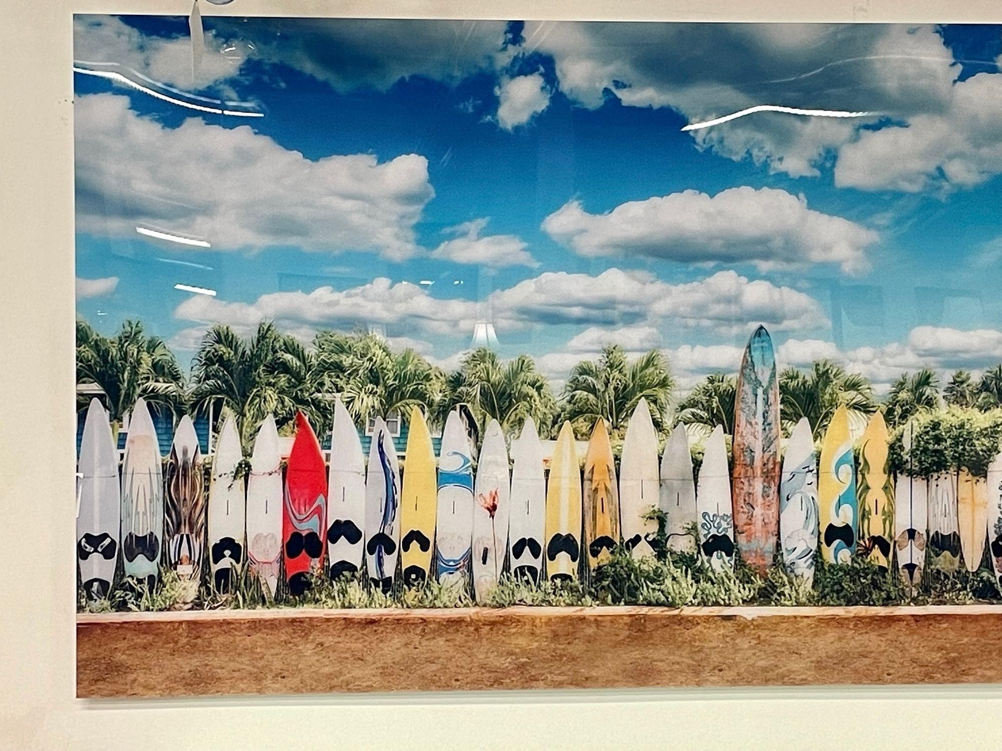 Modern Plexiglass Paddle Board Photo, Tropical Art, Decorative Art, Contemporary In Good Condition In Stamford, CT