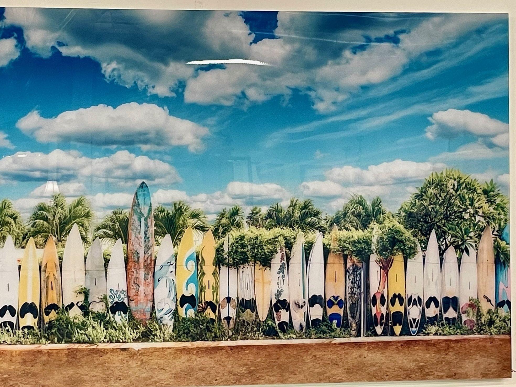 Wood Modern Plexiglass Paddle Board Photo, Tropical Art, Decorative Art, Contemporary