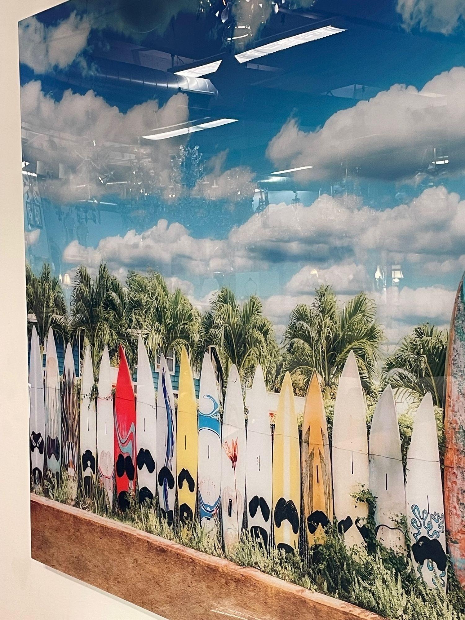 Modern Plexiglass Paddle Board Photo, Tropical Art, Decorative Art, Contemporary 2