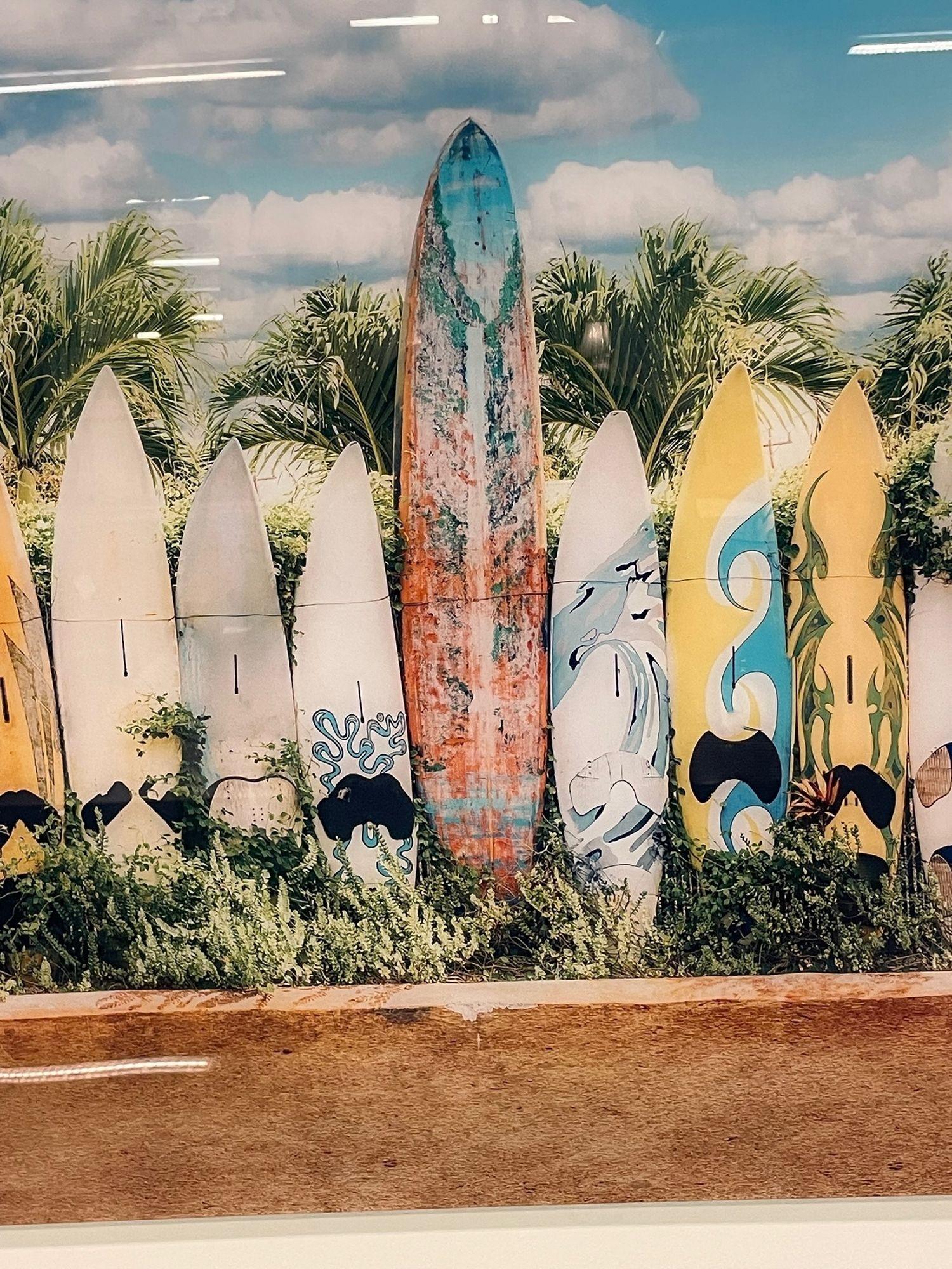 Modern Plexiglass Paddle Board Photo, Tropical Art, Decorative Art, Contemporary 4