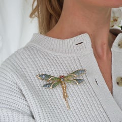 Modern Plique à Jour Enamel, Sapphire, Diamond, Ruby and Gold Dragonfly Brooch