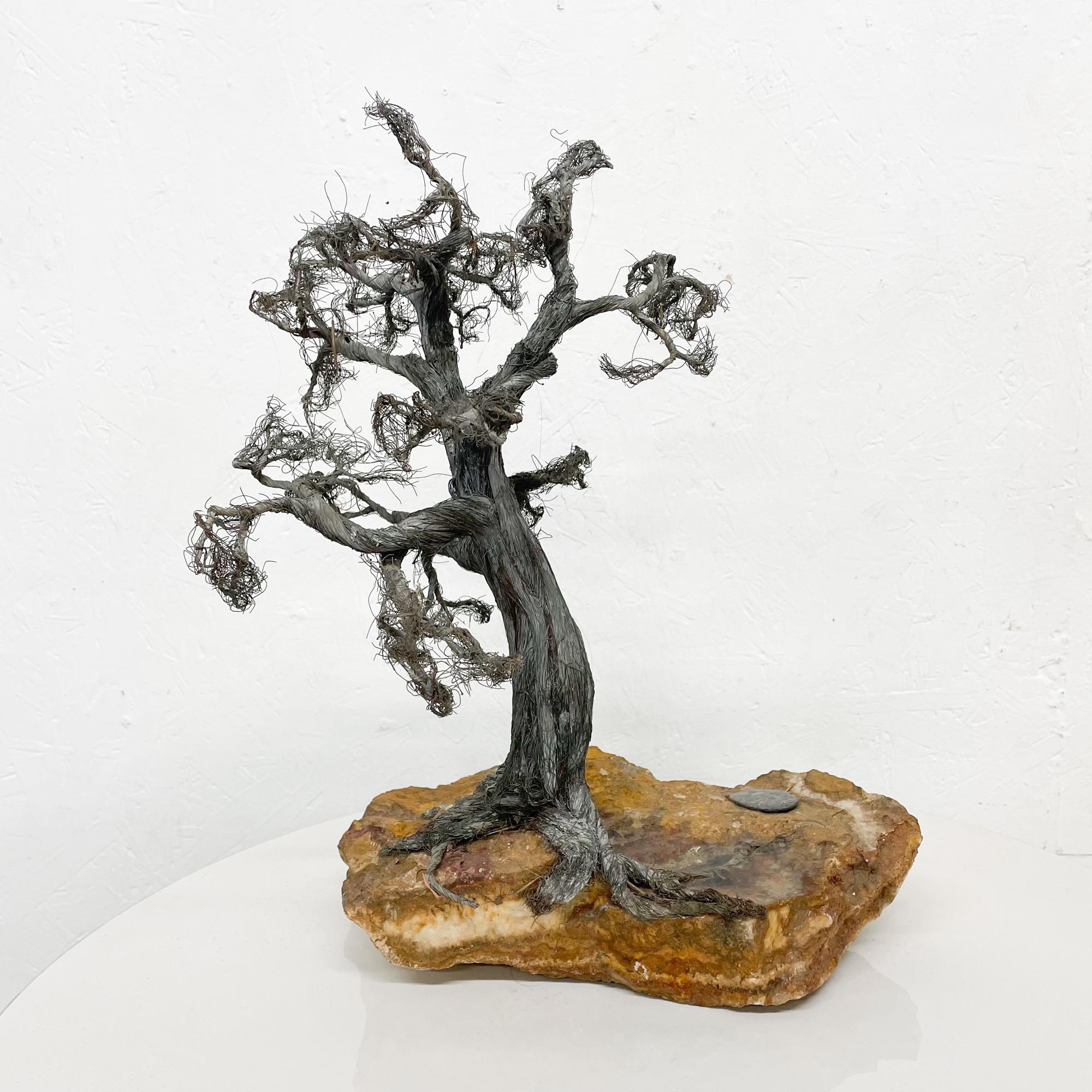 American Modern Raw Edge Botanical Art Bonsai Tree Sculpture in Stone & Stainless Steel