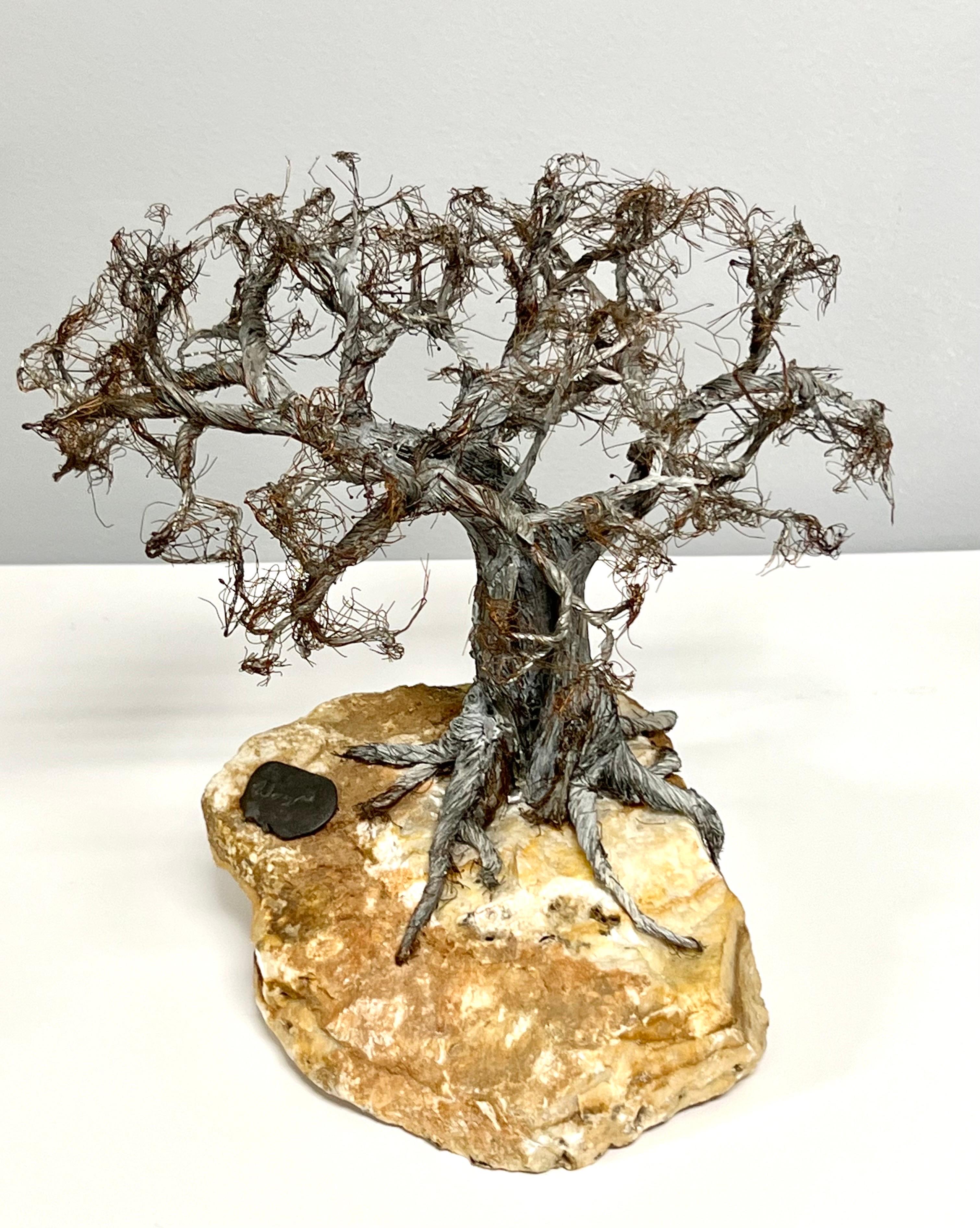Modern Raw Edge Botanical Art Bonsai Tree Sculpture on Stone  In Good Condition For Sale In Miami, FL