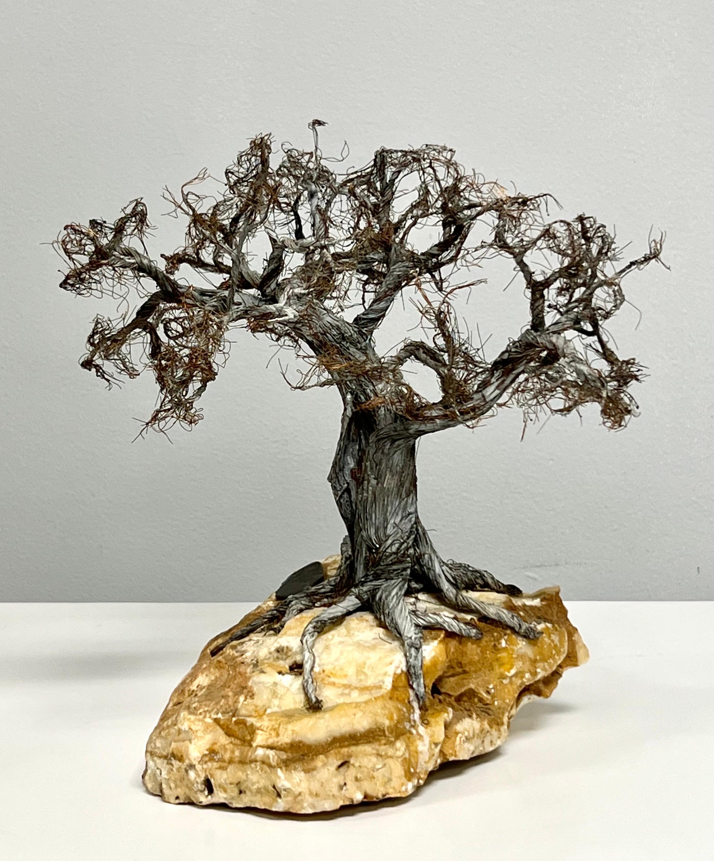 Milieu du XXe siècle Sculpture d'arbre Bonsaï moderne à bord brut d'art botanique sur pierre  en vente