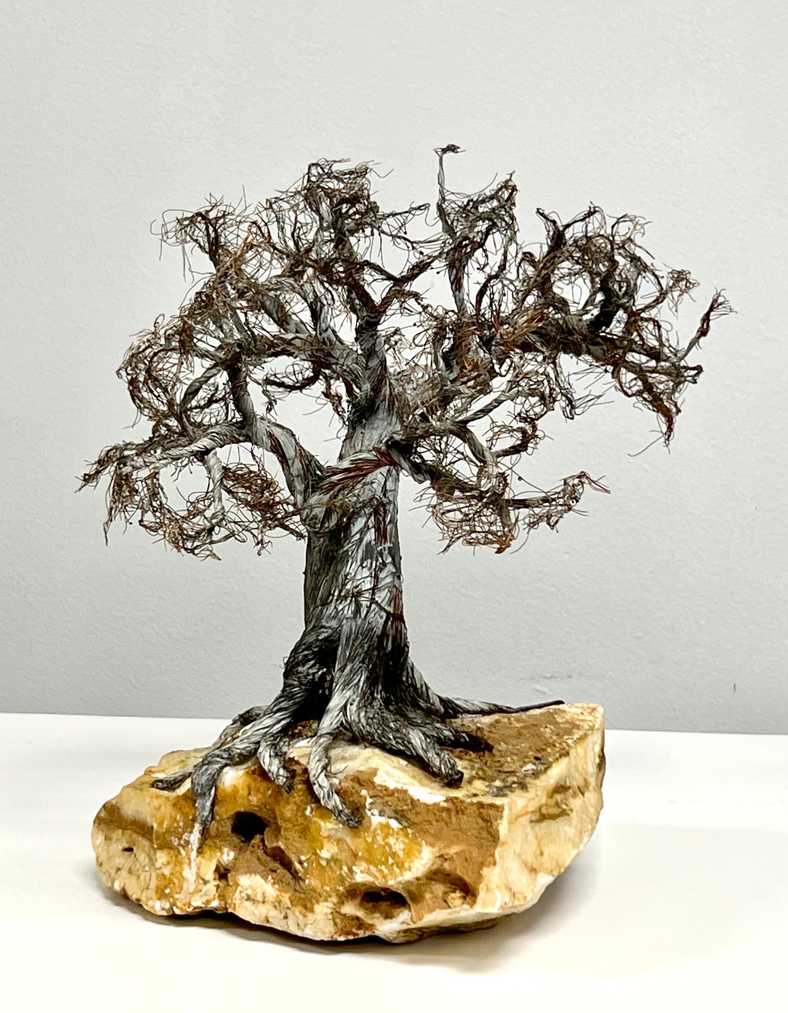 Moderne botanische Bonsai-Baum-Skulptur auf Stein mit Rohkante  (Metall) im Angebot