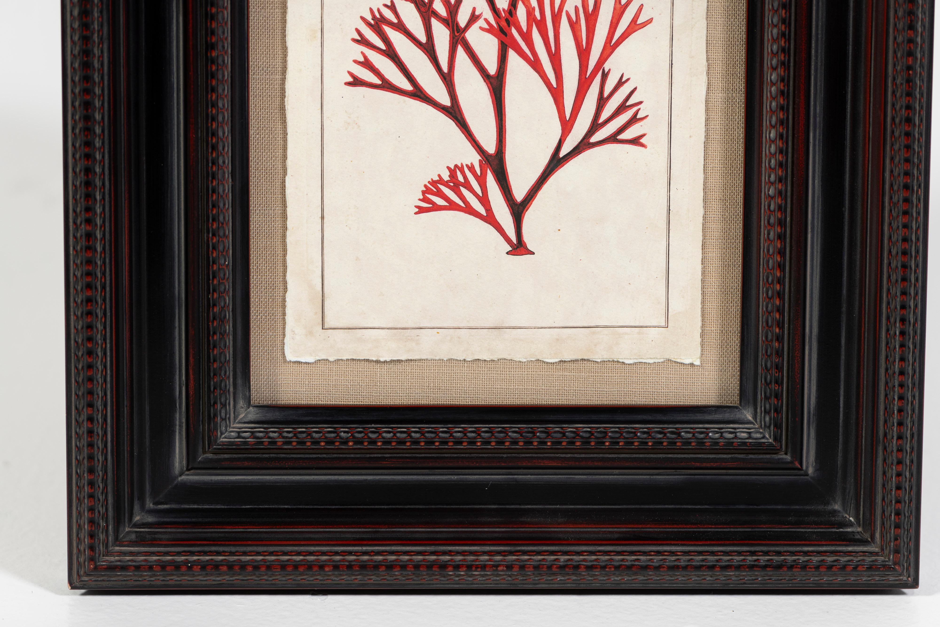 Organico moderno Stampa moderna di corallo rosso, con cornice, 20° secolo, USA in vendita