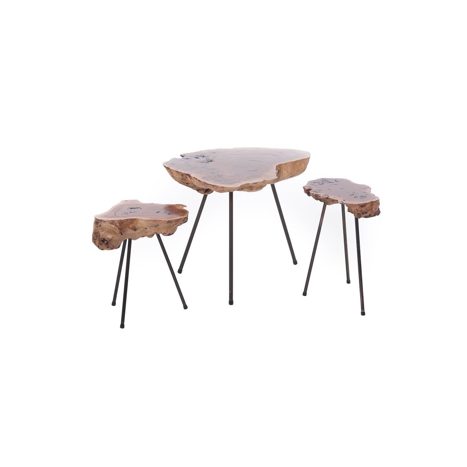 American Modern Redwood Burl Side Table