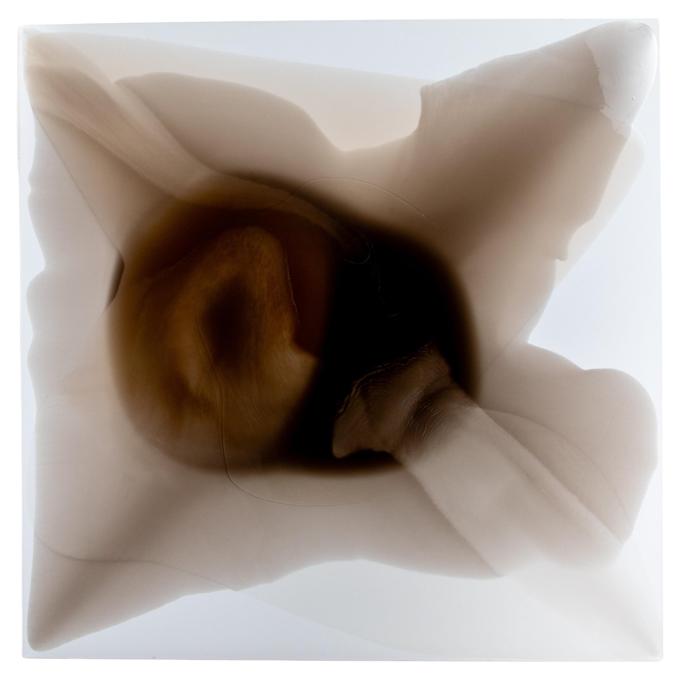 Arte moderno en resina de Andreas Anastasis
